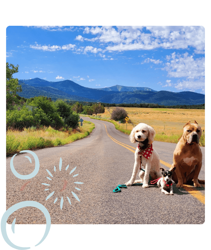 Pack Walk in Hurricane, Utah