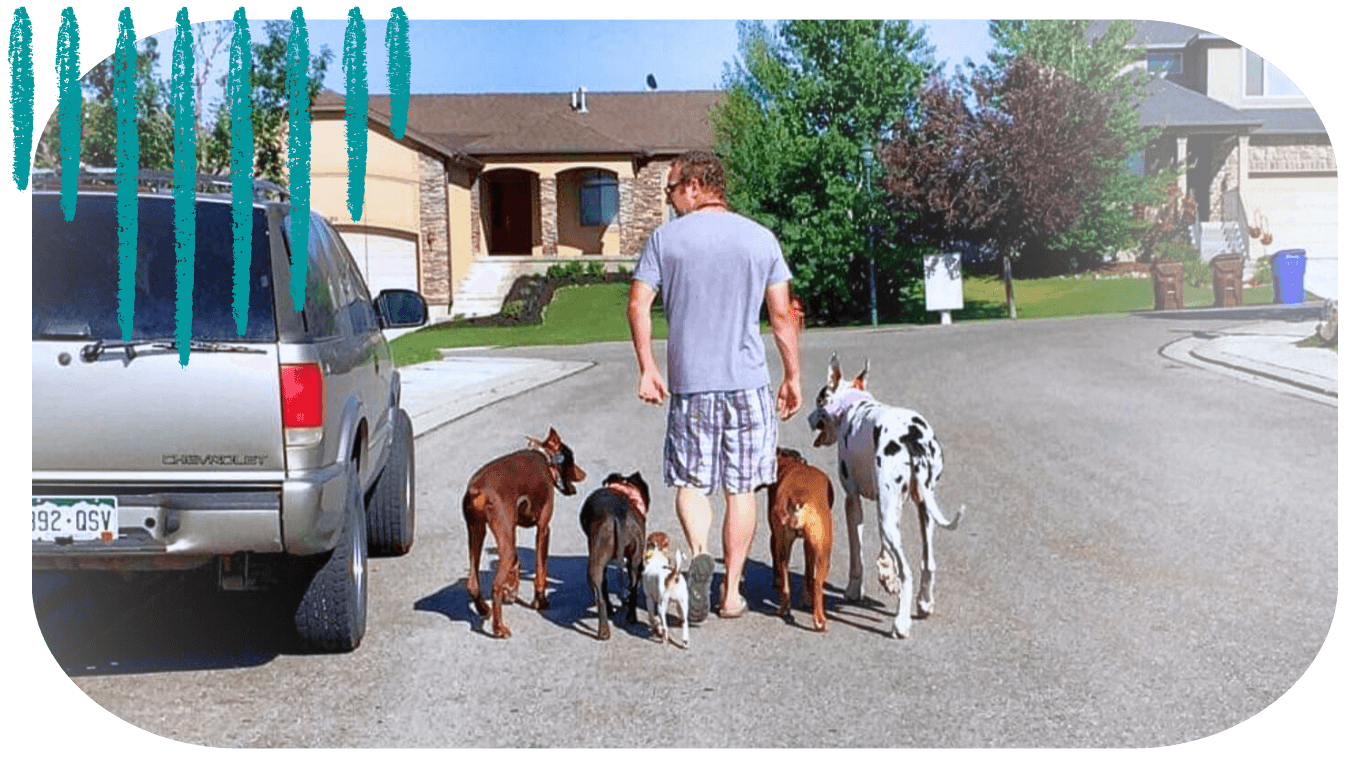 St George Dog Trainer Pack Walk