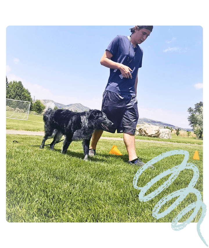 St George Group Dog Training Classes