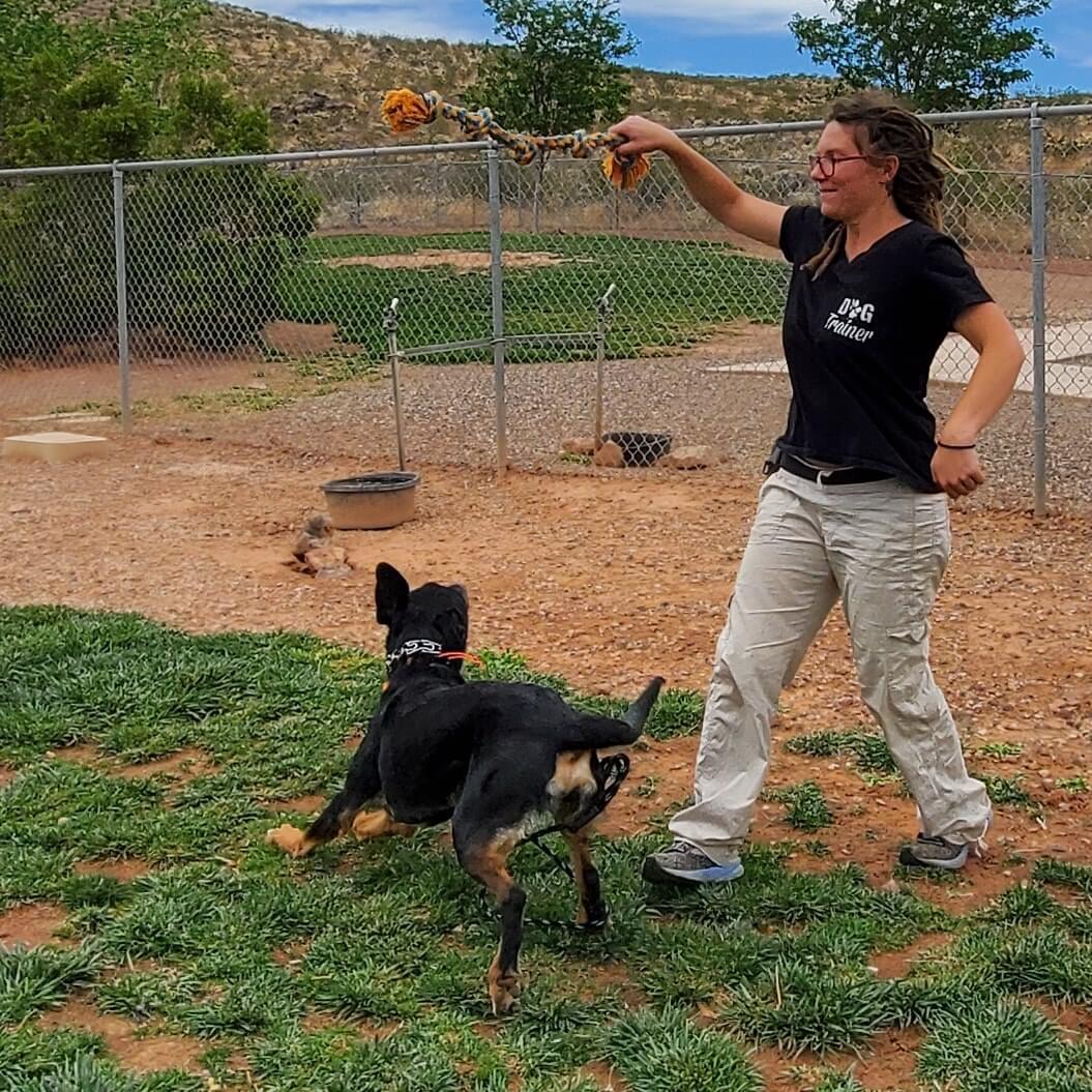 Project K9 Playing with a dog